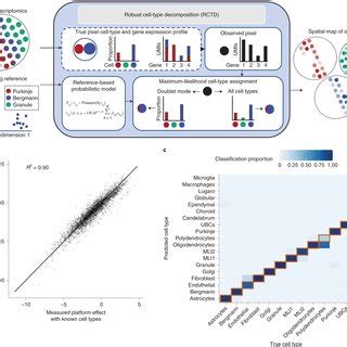 rctd 526|Robust decomposition of cell type mixtures in spatial transcriptomics